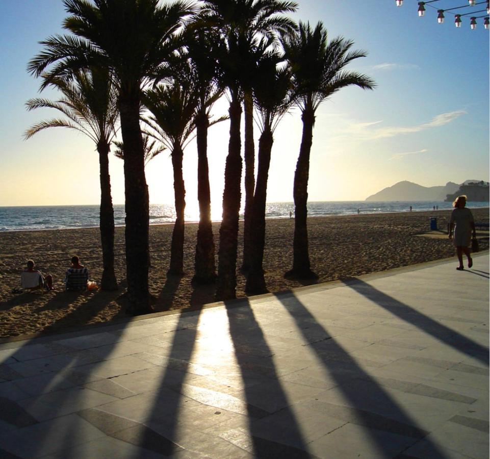 Don Paco 16-B Daire Benidorm Dış mekan fotoğraf